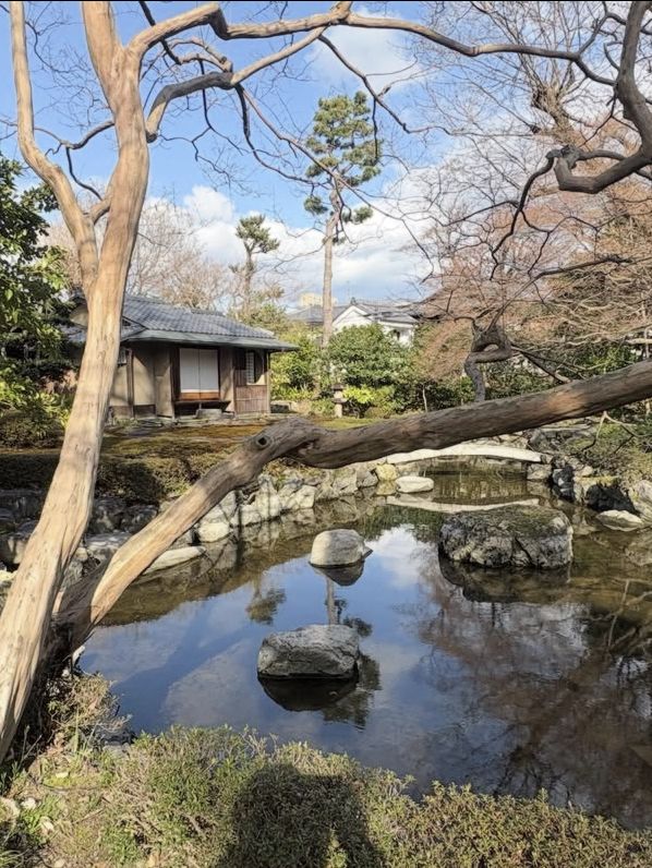 【レトロ建築の美学✨】旧三井倶楽部で優雅な時間旅行を
