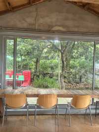 Cafe Pull Bege