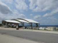 🐠 Dive into Wonder at Okinawa Churaumi Aquarium