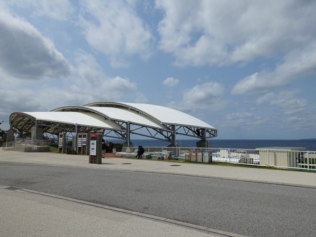🐠 Dive into Wonder at Okinawa Churaumi Aquarium