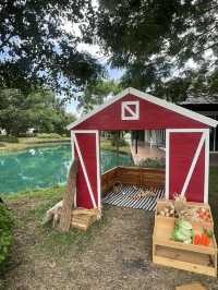  C-Kids Village🌳 สถานที่ตอบโจทย์ทุกคนในครอบครัว