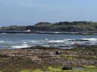 North Berwick: My Romantic Coastal Escape from Edinburgh! 🏴󠁧󠁢󠁳󠁣󠁴󠁿🌊
