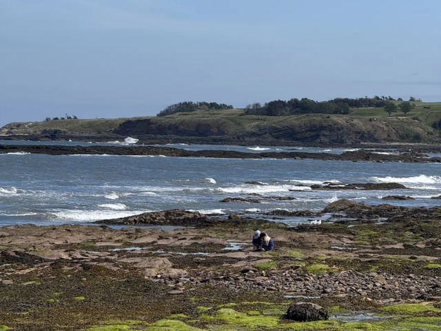North Berwick: My Romantic Coastal Escape from Edinburgh! 🏴󠁧󠁢󠁳󠁣󠁴󠁿🌊
