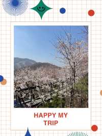 🌿숲이 말을 거는 곳, 화담숲 산책기