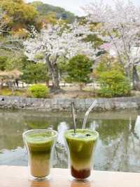 ～小池茶舗～慢了下來～