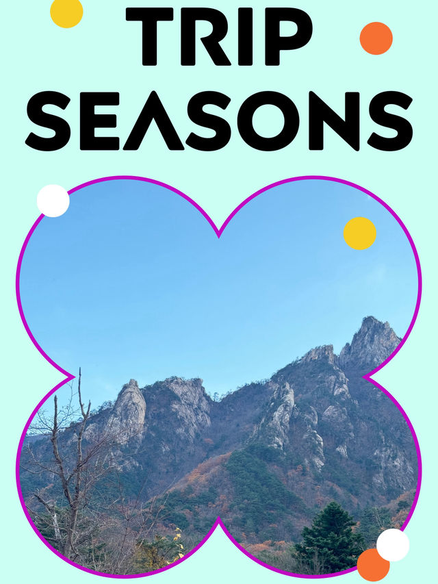 “구름 위를 걷는 듯한 하루, 설악산 힐링 산행 가이드⛰️🍁”
