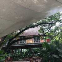 ✨🌱DAYDREAMING CAFE KHAOYAI 