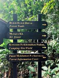 KL Eco Forest Park & Canopy Walk: A Green Escape in the City