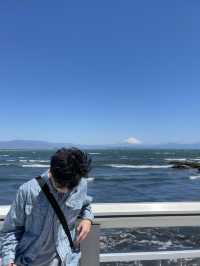 🌊⛩️🐾 Enoshima – Island of Shrines, Cats, and Sea Breeze