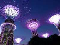 Gardens by the Bay.