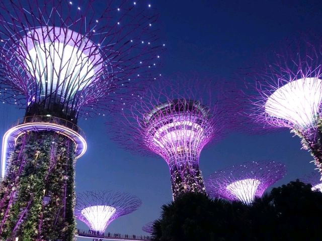 Gardens by the Bay.