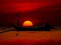 Blazing Sun, Broken Shades – Eco Optometry to the Rescue!