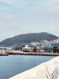 Jeju City's Vibrant Waterfront Hub