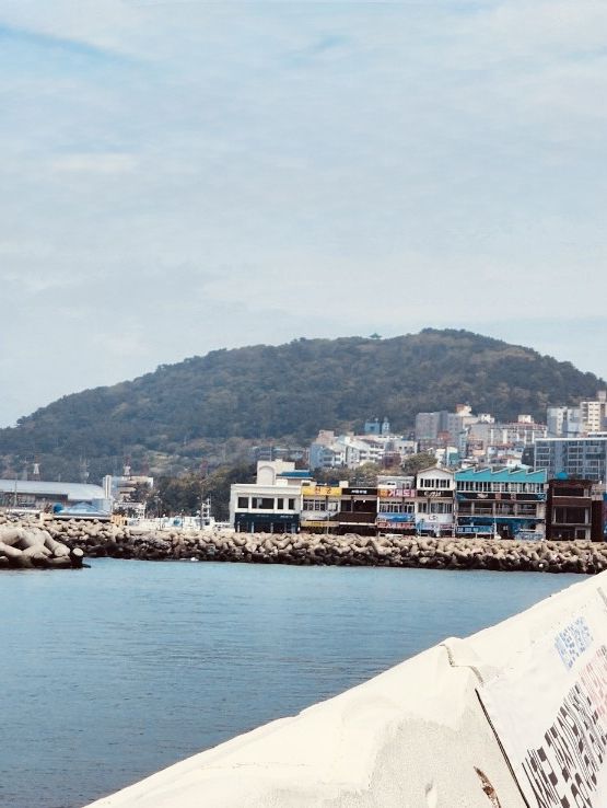 Jeju City's Vibrant Waterfront Hub