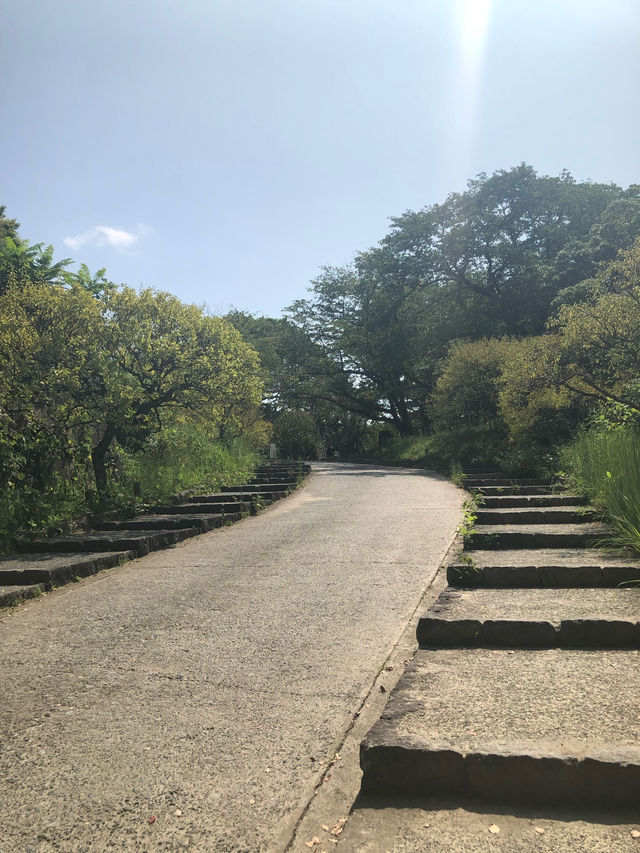 【福岡】福岡城跡