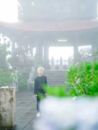 วัดหลินฟองเซ็น (Linh Phong Zen Monastery)