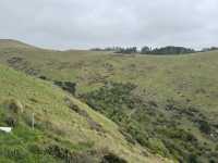 Stunning views of Lyttelton Harbour, the volcanic peaks and ridges of Banks Peninsula