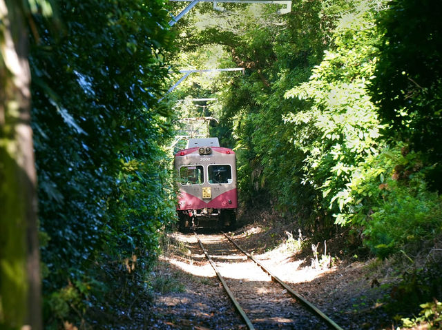 自駕關東一日遊 🇯🇵