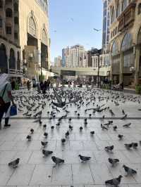 Solo Travellers to Makkah performing Umrah 