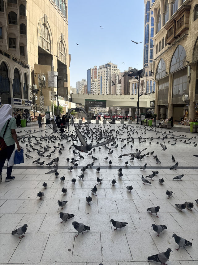 Solo Travellers to Makkah performing Umrah 
