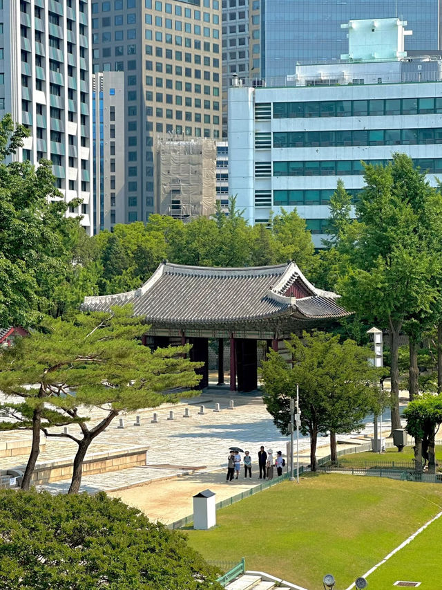 🇰🇷 Slow Moments in Seoul: A Serene Stroll Through Deoksugung Palace 🍂✨