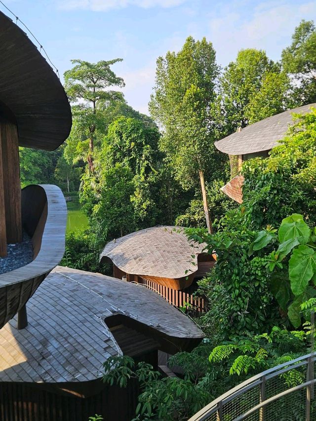 Mandai Rainforest Resort by Banyan Tree