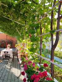 Kazanqi Home Visit: Savoring Artisan Traditions  