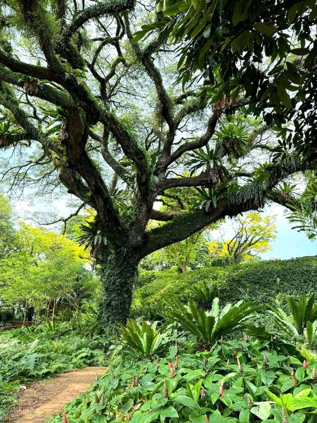 History in the Heart of the City: Fort Canning Park