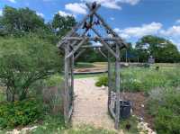 Jacob’s Well Natural Area – Wimberley