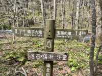 Spent a day at Oirase Gorge - Aomori