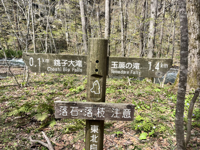 Spent a day at Oirase Gorge - Aomori