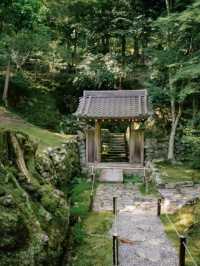 京都必去景點（四）🌿西芳寺の絕美苔蘚王國🌿