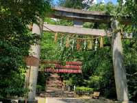 仙台 | 大崎八幡宫，安土桃山時代的建築風格