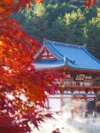 🏯🇯🇵日本大阪必去景點（五）勝尾寺
