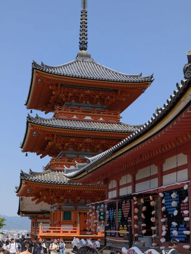 【清水寺】京都旅のスタートはここから！絶景と歴史に心奪われるひととき✨
