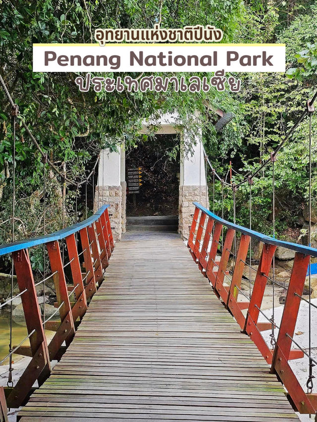 Penang National Park