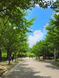 인천대공원 산책과 자전거
