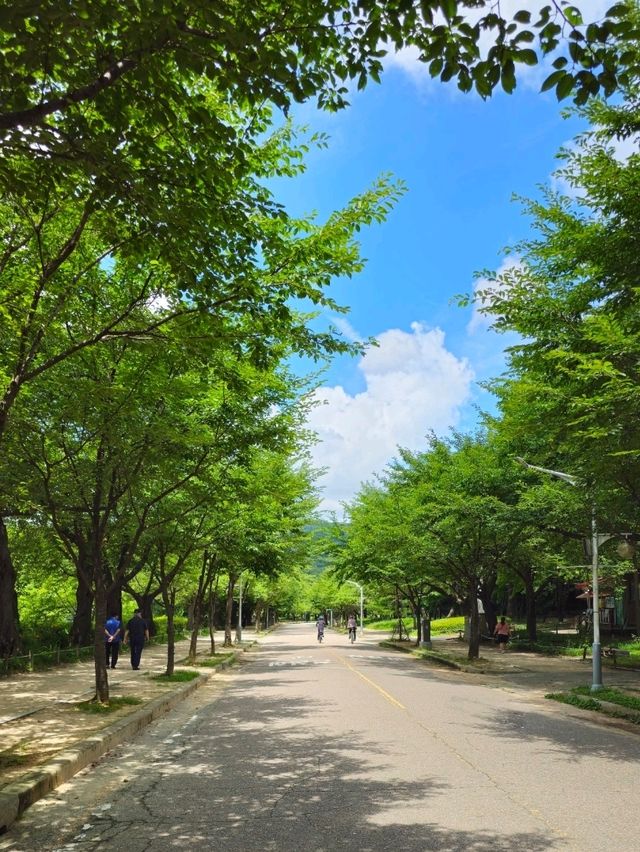 인천대공원 산책과 자전거