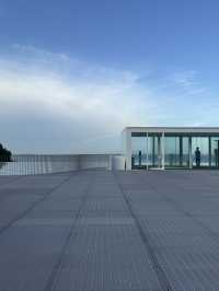 🖼️ 横須賀美術館 — 海と緑に抱かれた絶景アート空間