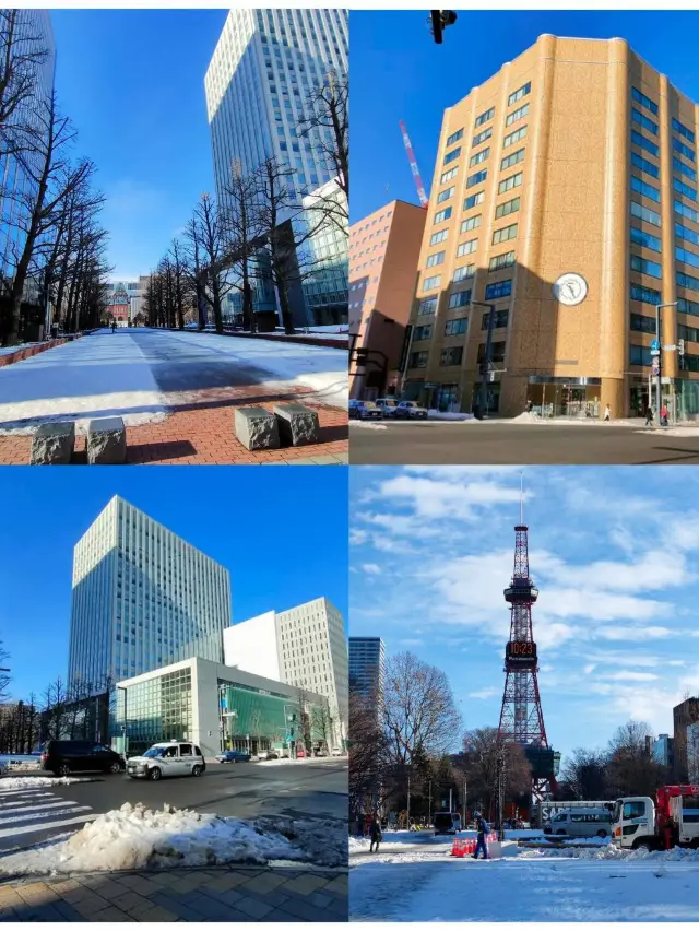 札幌大樓在雪中，無論多冷都讓人愛上