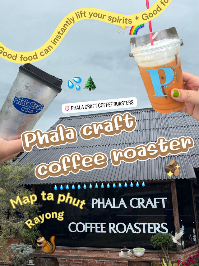 🪵☕️🌈Pachana x Phala craft coffee roaster 🍋✨