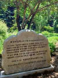 진주 여행 가이드 | 진주 수목원 (Jinju Arboretum) 