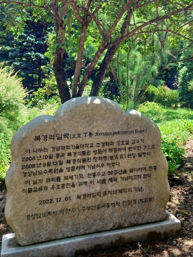 진주 여행 가이드 | 진주 수목원 (Jinju Arboretum) 