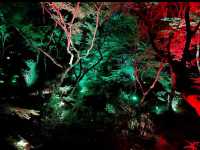 【御船山楽園】四季が彩る幻想庭園で、心ほどけるひととき🌸🍁🌌