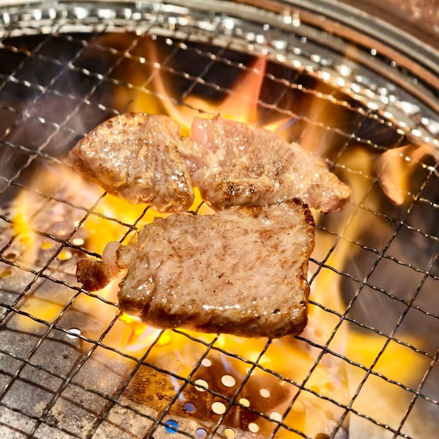 鳥取🇯🇵 來到鳥取絕不能錯過油酸含量達到55%以上鳥取和牛