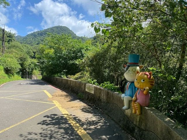 Zhangshu Trail in Wenshan, Chill Walks and Tree Vibes All Day