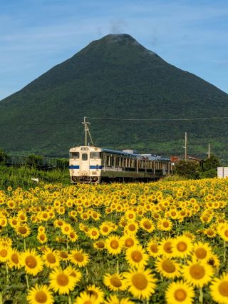 A breathtaking hike to refresh your soul at Satsuma Fuji and Mt. Kaimon