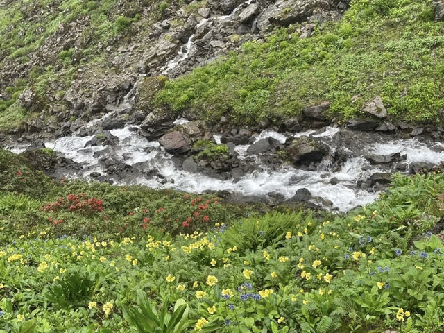 🏔️ Let’s Go to Nanjiluo (南极洛) – Yunnan’s "Heavenly Lake Sanctuary