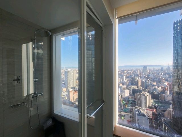 나고야 JR 게이트 타워 호텔(Nagoya JR Gate Tower Hotel) Deluxe Room 나고야 JR 게이트 타워 호텔(Nagoya JR Gate Tower Hotel) Deluxe Room