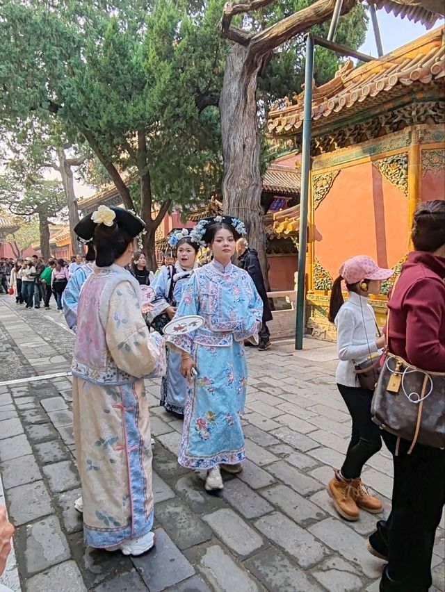 Discover the Forbidden City: Feel the Pulse of History